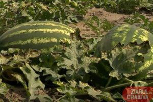 66AC7040-E404-45D6-8C59-92AF7D152331