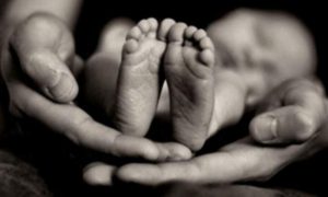 98321DE5-F4AA-44AB-A841-04F5C011E6EA