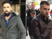 Doi fraţi români au aruncat un câine de la balcon, în Liverpool