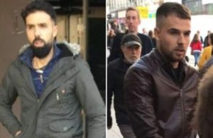 Doi fraţi români au aruncat un câine de la balcon, în Liverpool