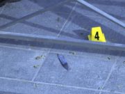 O mamă şi copiii ei, de 8 şi 12 ani, ucişi de un ofiţer de poliţie