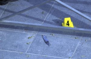 O mamă şi copiii ei, de 8 şi 12 ani, ucişi de un ofiţer de poliţie