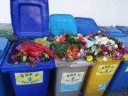 Prima zi de școală, din altă perspectivă: „Și? Azi, de ziua frumuseții, ați aruncat banii pe flori la coșul de gunoi și ați trimis copiii… ”