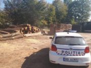 Inginer silvic din Mureş bătut de colegul pădurar pentru că n-ar fi acceptat mită