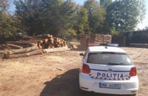 Inginer silvic din Mureş bătut de colegul pădurar pentru că n-ar fi acceptat mită