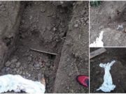Trupul unui bărbat găsit dezgropat într-un cimitir din Mureş, urme uriaşe de zgârieturi descoperite pe sicriu, posibil de la un urs