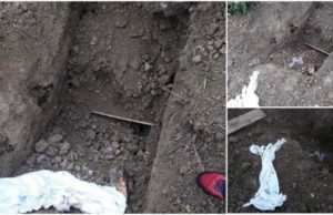 Trupul unui bărbat găsit dezgropat într-un cimitir din Mureş, urme uriaşe de zgârieturi descoperite pe sicriu, posibil de la un urs