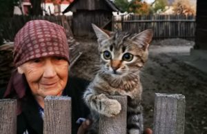 Fotografia unei bunicuţe din Bucovina a devenit virală. A înduioşat mii de oameni!