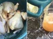 Pui vopsiţi galben pentru a fi vânduţi ca pui de ţară, într-o piaţă din Galaţi