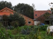 VIDEO | Cinci fraţi au trăit nouă ani în beciul unei case din Olanda, aşteptând ‘sfârşitul lumii’