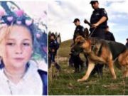 Fetiţă de 13 ani dispărută fără urmă, la Sibiu. Familia şi poliţiştii cer ajutorul populaţiei