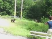 Fetiţă de 4 ani şi băieţel de 3 ani, atacaţi de urs, în oraşul Victoria. Mesaj RO-Alert, după atac