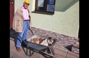 Un adevărat OM! Un bătrân de 84 ani și-a dus câțelul 8 km cu roaba până la veterinar