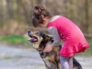 Fetiţă de doi ani, muşcată de faţă de câinele familiei, în timp ce se jucau, la Botoşani