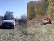 Bărbat ucis de doi urși, în Bacău. Un copil de 14 ani s-a salvat la limită