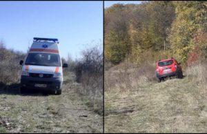 Bărbat ucis de doi urși, în Bacău. Un copil de 14 ani s-a salvat la limită