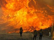 VIDEO | Români prinşi în infernul incendiilor de vegetaţie din California