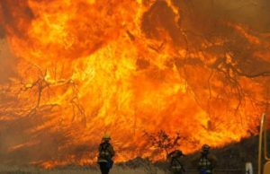 VIDEO | Români prinşi în infernul incendiilor de vegetaţie din California