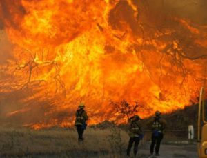 incendiu-vegetatie-california