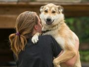 O tânără şi-a pus capăt vieţii, după ce părinţii i-au spus să renunţe la căţelul său, sau să plece din casă