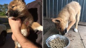 0E45ACDA-291D-4640-A23E-00C07CB63C4A