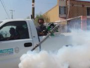 Familie din Capitală, la un pas de scenariul din Timișoara! Un copil de 3 ani și mama acestuia s-au intoxicat cu substanțe folosite în deratizări