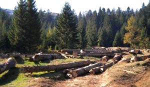 19A4CF5B-7C94-4AEF-B559-775B43EAE564