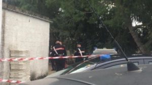 1C7ED528-9FAE-4FC6-9F3C-3F45C729586B