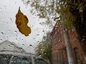 242839DA-D0A7-4ACC-B9C8-1763ABD1F690