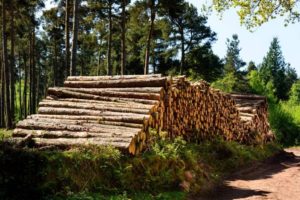 28AB3405-BD5A-4BBC-9B07-1300E5FF4868