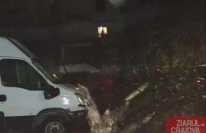 Vântul puternic a pus pompierii la treabă. Copaci căzuți și mașini avariate