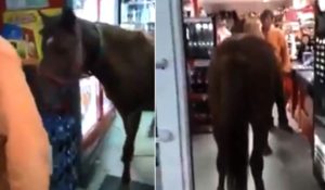 3EAD5213-E218-4A12-BC76-8E36E1633C6B