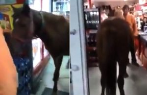 VIDEO | Un bărbat a intrat cu un cal într-un supermarket din Buzău