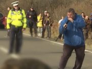 Filmul complet al agoniei ursului lovit de maşină şi împuşcat după 20 de ore, în Harghita