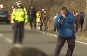 Filmul complet al agoniei ursului lovit de maşină şi împuşcat după 20 de ore, în Harghita