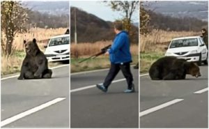 456FC223-EE3A-481E-986A-27D06D610175