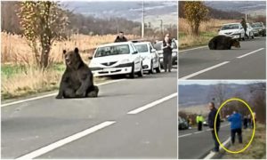 45960C4B-8384-49ED-9536-73A073151672