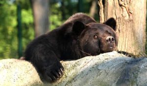 49365683-9325-4D2A-B13B-AC2A506CB696