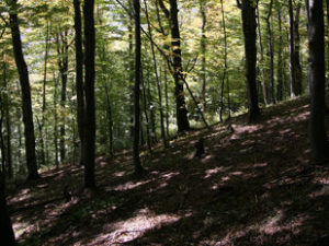 4D2FE4C8-C499-4132-A374-5D2DB9856290