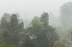 Alertă ANM: Cod galben de vânt puternic și ploaie în mai multe județe