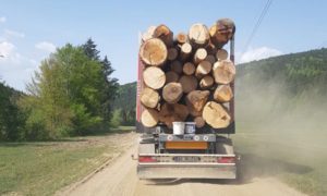 68006435-72AE-4364-90F9-46B00C6FDA74