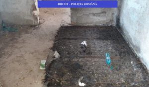 6EC96296-FD70-4B69-BA68-4488612C01C1