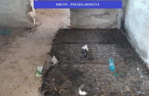 Detalii înfiorătoare despre eleva chinuită de satanişti şi filmată, în Giurgiu