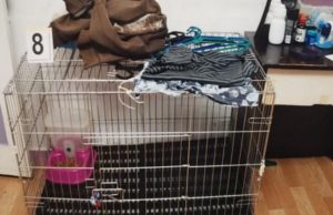 Copil de cinci ani ținut luni de zile de părinți într-o cușcă pentru pisici, înainte de a fi torturat și ucis