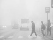 Cod galben de ceaţă și vânt puternic valabil în opt județe