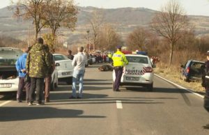 Poliţiştii au deschis dosar penal de braconaj, în cazul ursului lovit de maşină, în Harghita