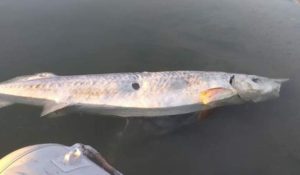 A564C184-7D6D-4A6D-8A83-FB10DAADB19B