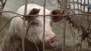 B29A96FF-6938-472A-B503-D6E9EBD8FAD7