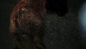 D15263D6-0200-4EFA-AEC3-9968A6FBE906