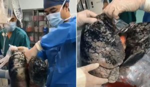 F37A85C0-498B-4263-9933-293A9338FE49